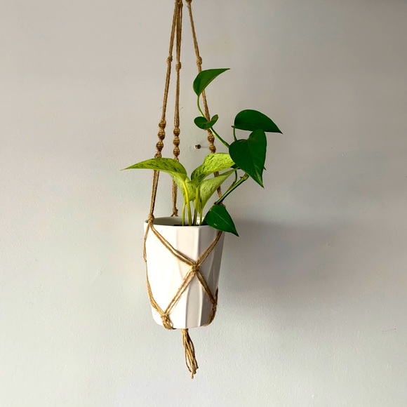 Macrame Plant Hangers - Picture 1 of 9